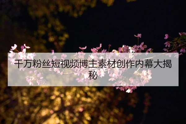 qian-wan-fen-si-duan-shi-pin-bo-zhu-su-cai-chuang-zuo-nei-mu-da-jie-mi-2-380.jpg