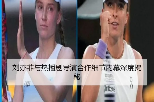 刘亦菲与热播剧导演合作细节内幕深度揭秘
